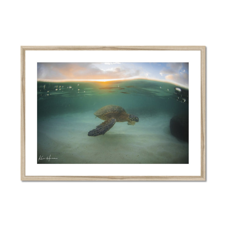 Honu