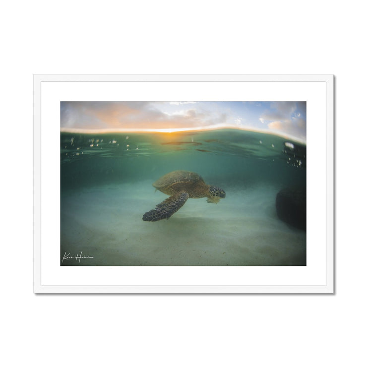 Honu