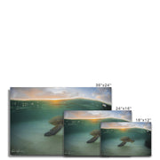 Honu
