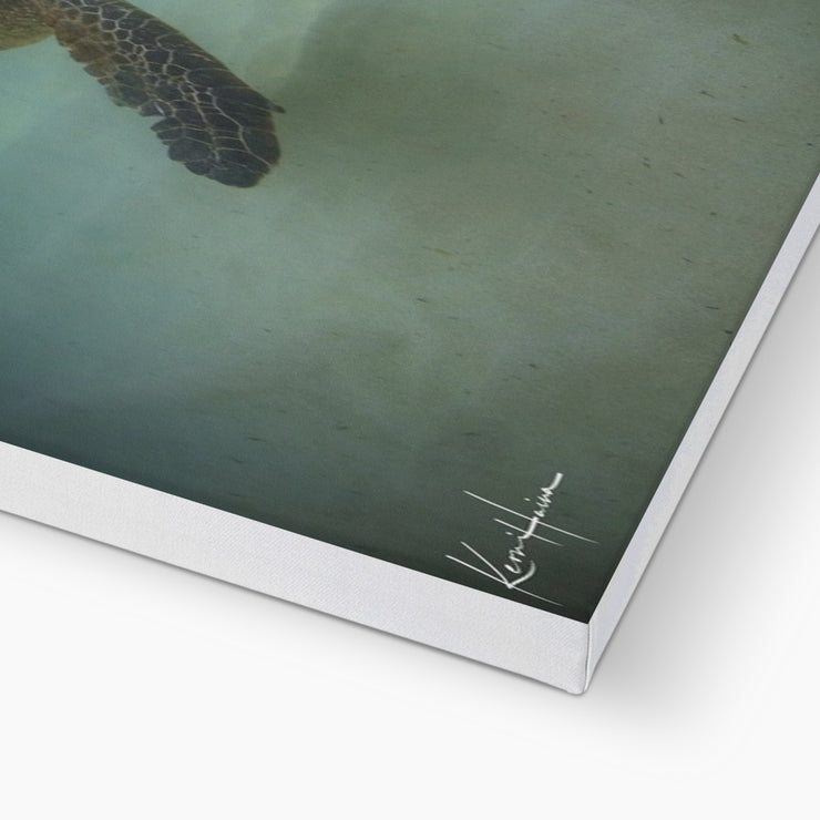 Honu