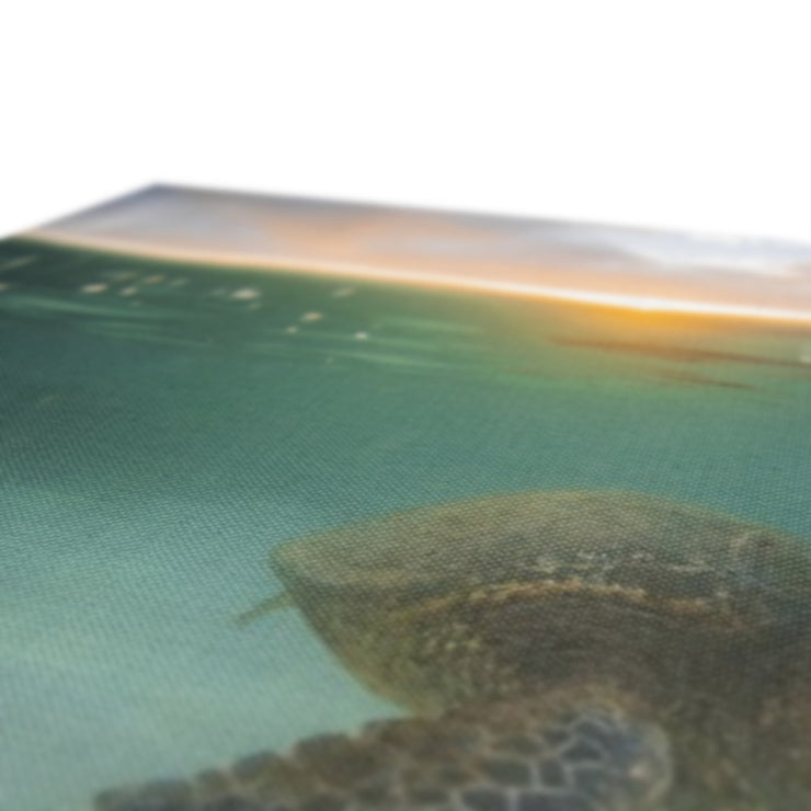 Honu