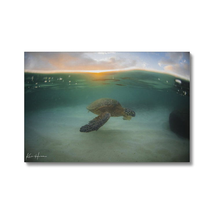 Honu