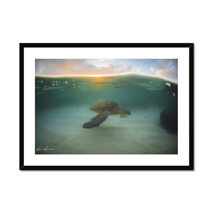 Honu
